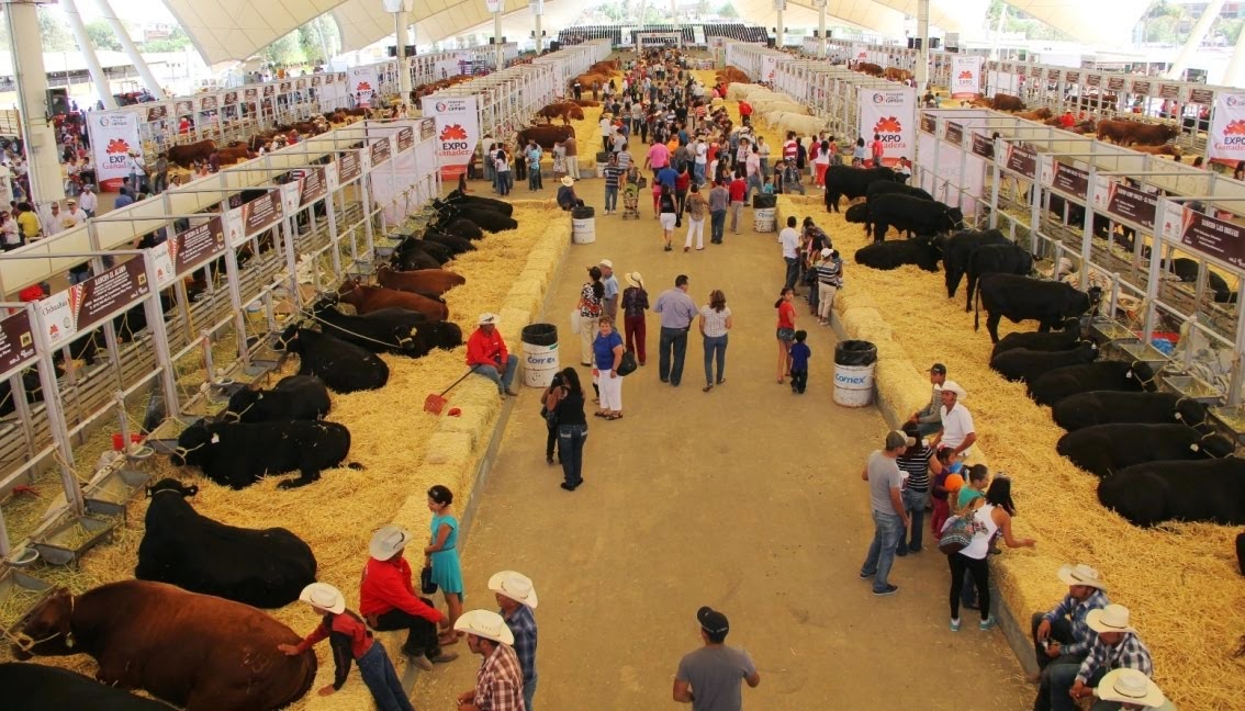 Expo Ganadera toda una tradición de los festejos abrileños Secretaría