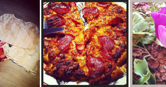 Instagram Cotton Steele Mein Neuer Bluebirdquilt