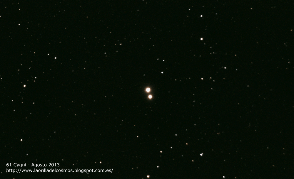 La Orilla Del Cosmos 61 Cygni Doble Con Alto Movimiento Propio En Cygnus