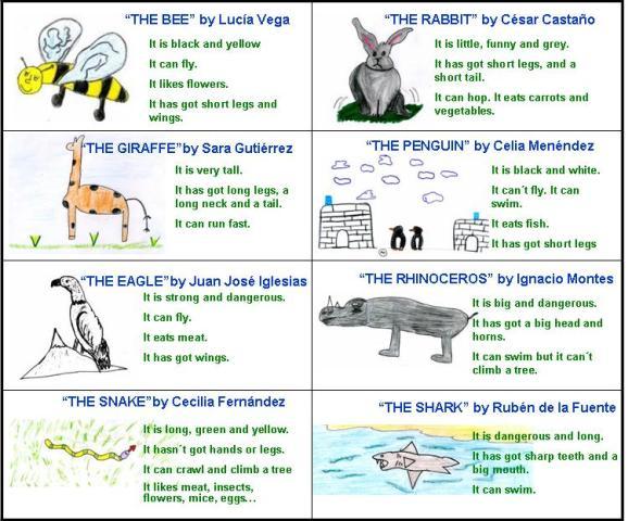 Big dreamers: FIRST GRADE - B