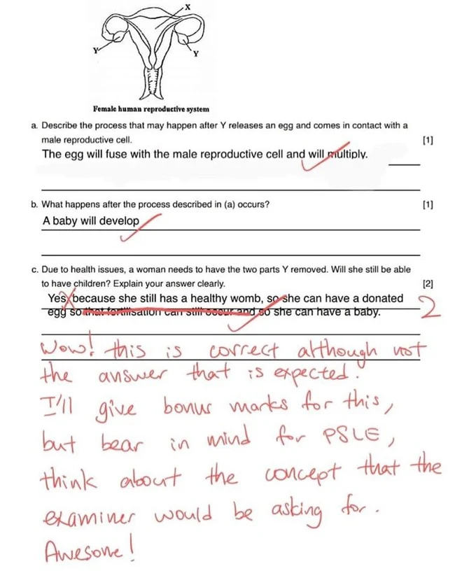 Câu trả lời về sức khỏe sinh sản của trẻ khiến cô giáo thay đổi tư duy Câu trả lời về sức khỏe sinh sản của trẻ khiến cô giáo thay đổi tư duy