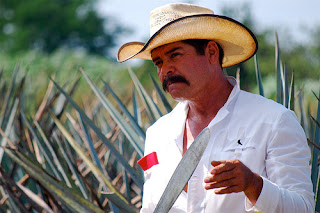 tequila mexico