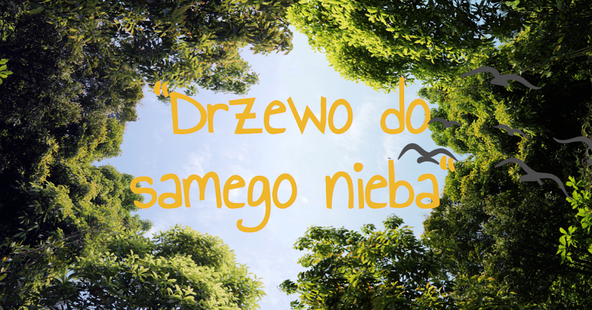 Na Podstawie Tekstu Drzewo Do Samego Nieba "Drzewo do samego nieba"