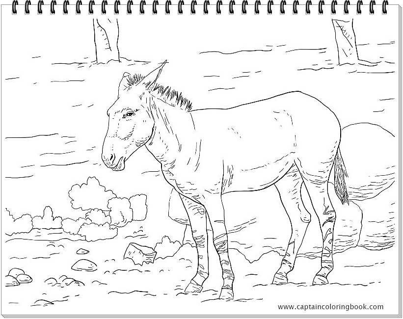 Coloring book pdf download