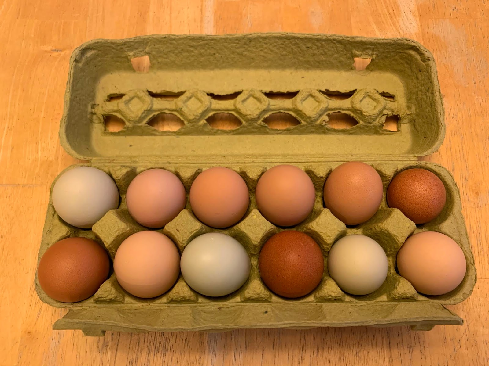 Fitzgerald's Family Farm Brown And Green Eggs For Sale Self Serve