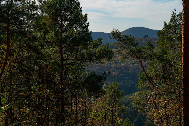 Pfälzer Keschdeweg | Etappe 2 Annweiler bis Albersweiler | Wandern Südliche Weinstraße | Wandern Wasgau 10