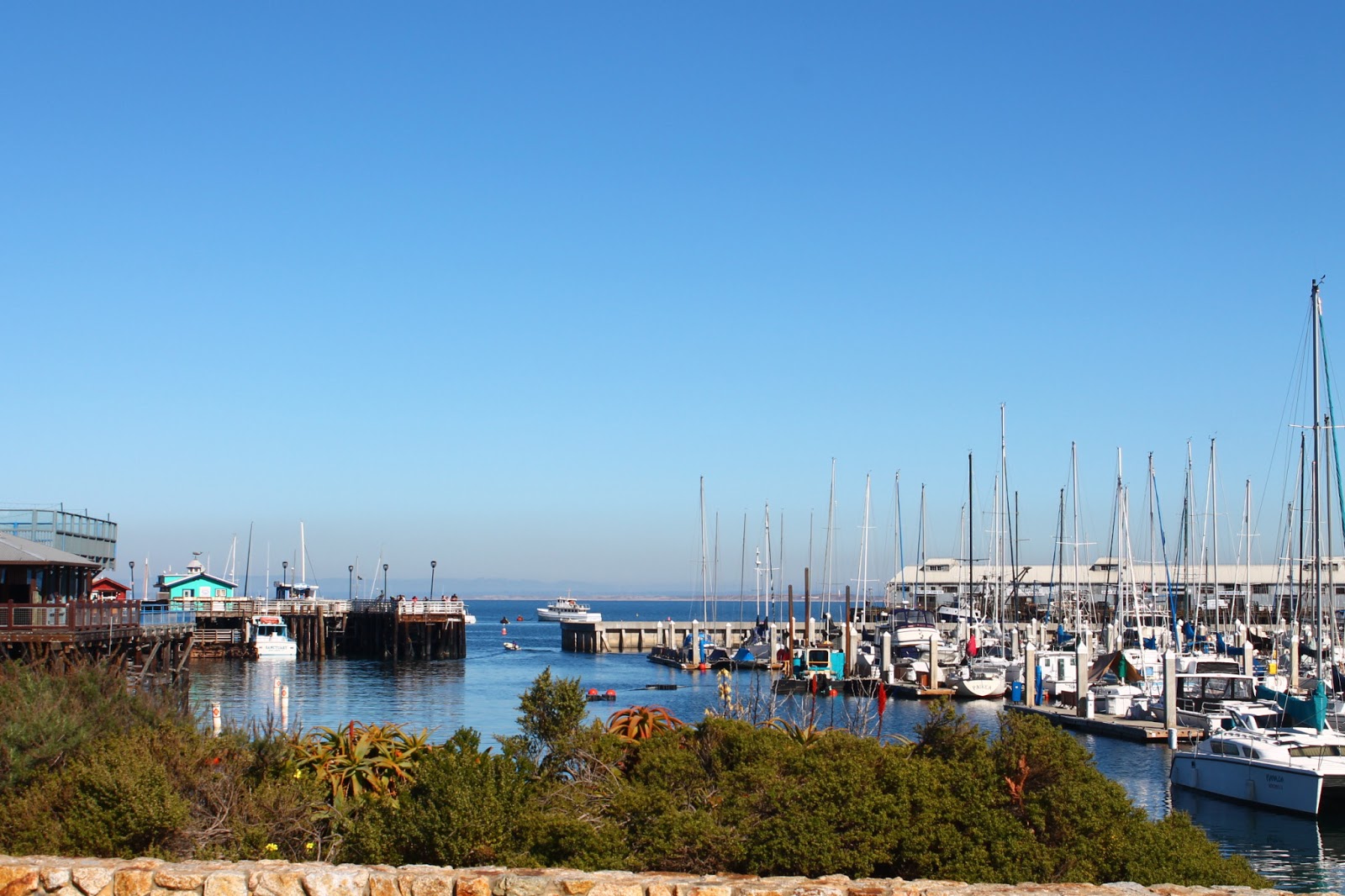 THE UNTOLD STORIES: Fisherman's Wharf, Monterey, Ca