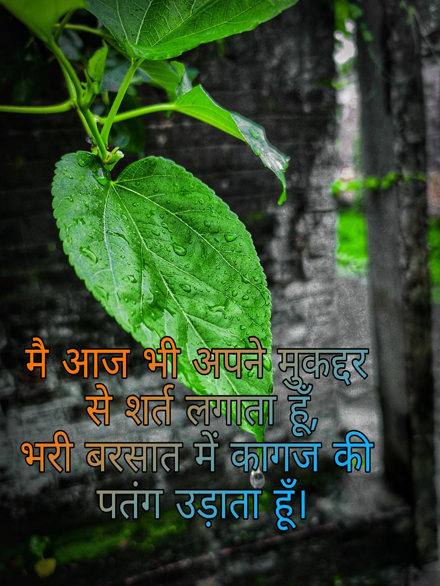 51+ Best Barish Shayari, Status, Quotes, Poetry & Thoughts Romantic