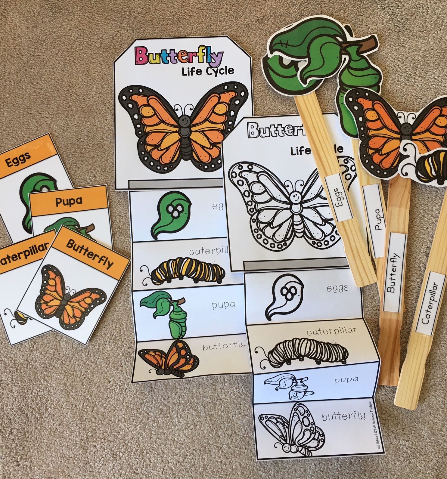 butterfly-life-cycle-printable-craft