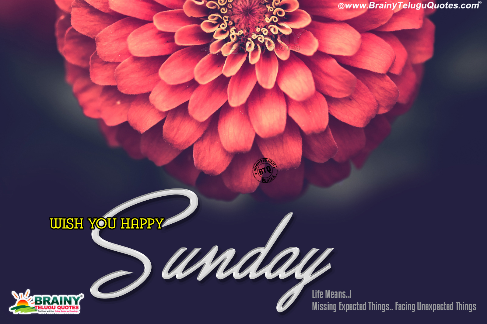 Inspirational Happy Sunday Quotes Messages In English Brainyteluguquotes Comtelugu Quotes English Quotes Hindi Quotes Tamil Quotes Greetings