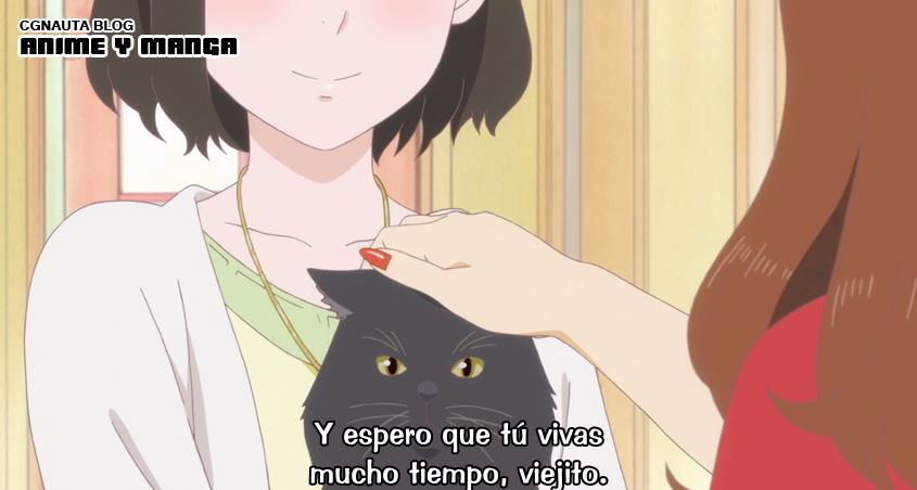 Get Kanojo To Kanojo No Neko Everything Flows 2016 Resena Y For Free Wallpaper Kanojo To Kanojo No Neko Everything Flows 2016 Resena Y Free HD