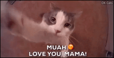 Art Cat GIF with caption • Affectionate kitty hugs and kisses her human • 'MUAH LOVE YOU MAMA!' Art Cat GIF with caption • Affectionate kitty hugs and kisses her human • 'MUAH LOVE YOU MAMA!'