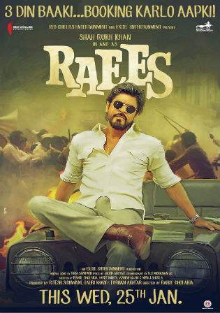 Raees 2017 BluRay Hindi Movie Download 720p 480p