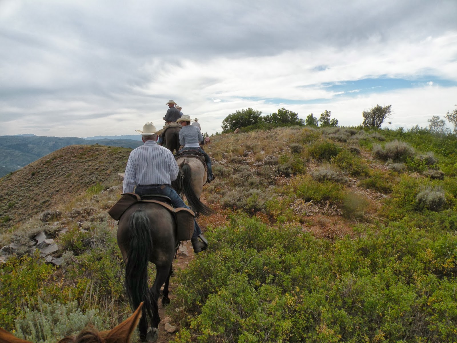 Dream Packer Trail Adventures: Monte Cristo, Utah, Lightning Ridge