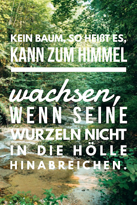 Die 50 besten Zitate zu den Themen Wald und Bäume | Waldzitate | Baumzitate | Naturzitate | Zitate-Wald | Inspirierende-Zitate