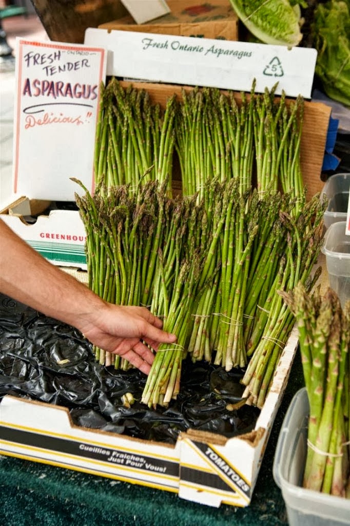 How to Grow Asparagus in Raised Beds 101 Gardening