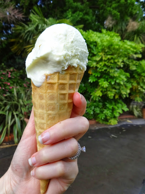 ice cream_Rum Raisin