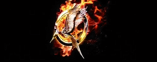 Catching Fire: Logo revelat