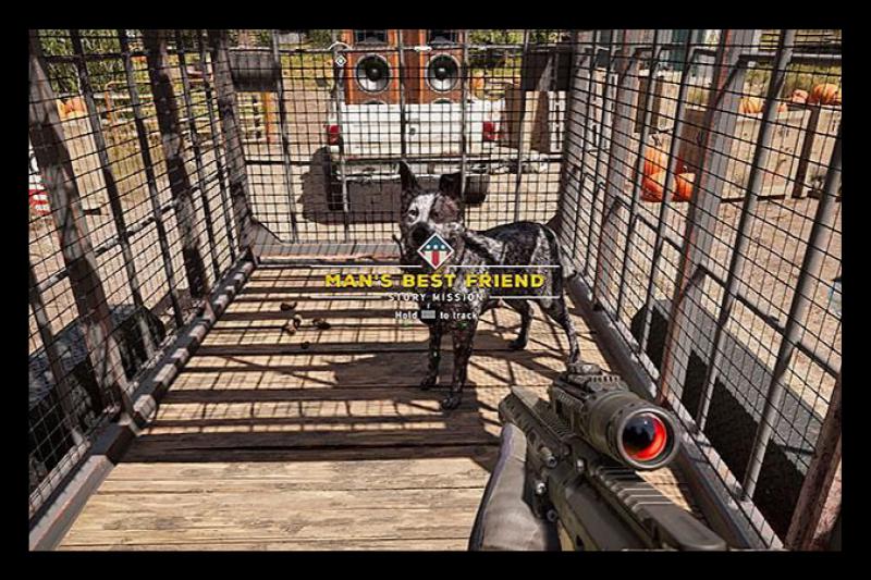 Far Cry 5 пес бумер