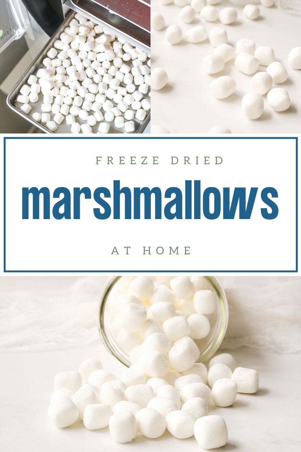 How to Make Dehydrated Marshmallows (And How to Freeze Dry Them Too