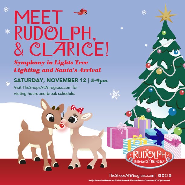Tree Lighting Celebration and Meet Rudolph at The Wiregrass Mall