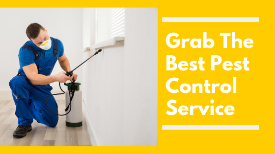Pests Control Services for Home