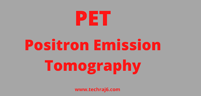 PET Full Form What Is The Full Form Of PET pet-full-form-what-is-the-full-form-of-pet