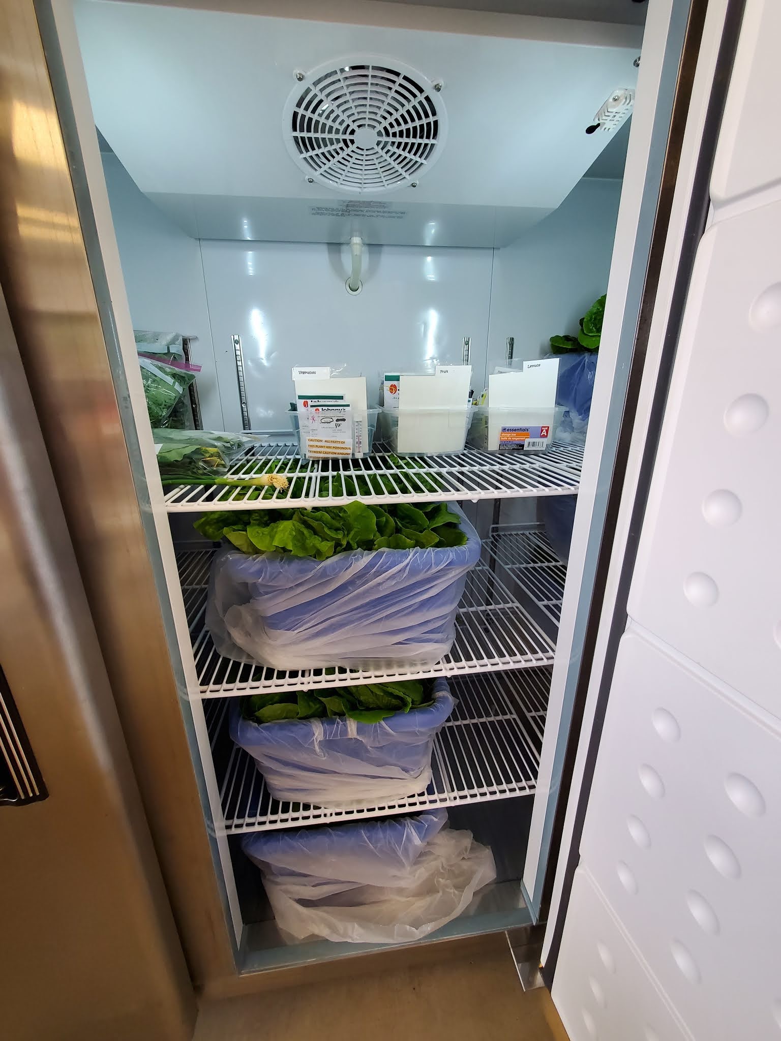 Imagine Our RV Dreams Volunteering at Sunshine Acres Children's Home