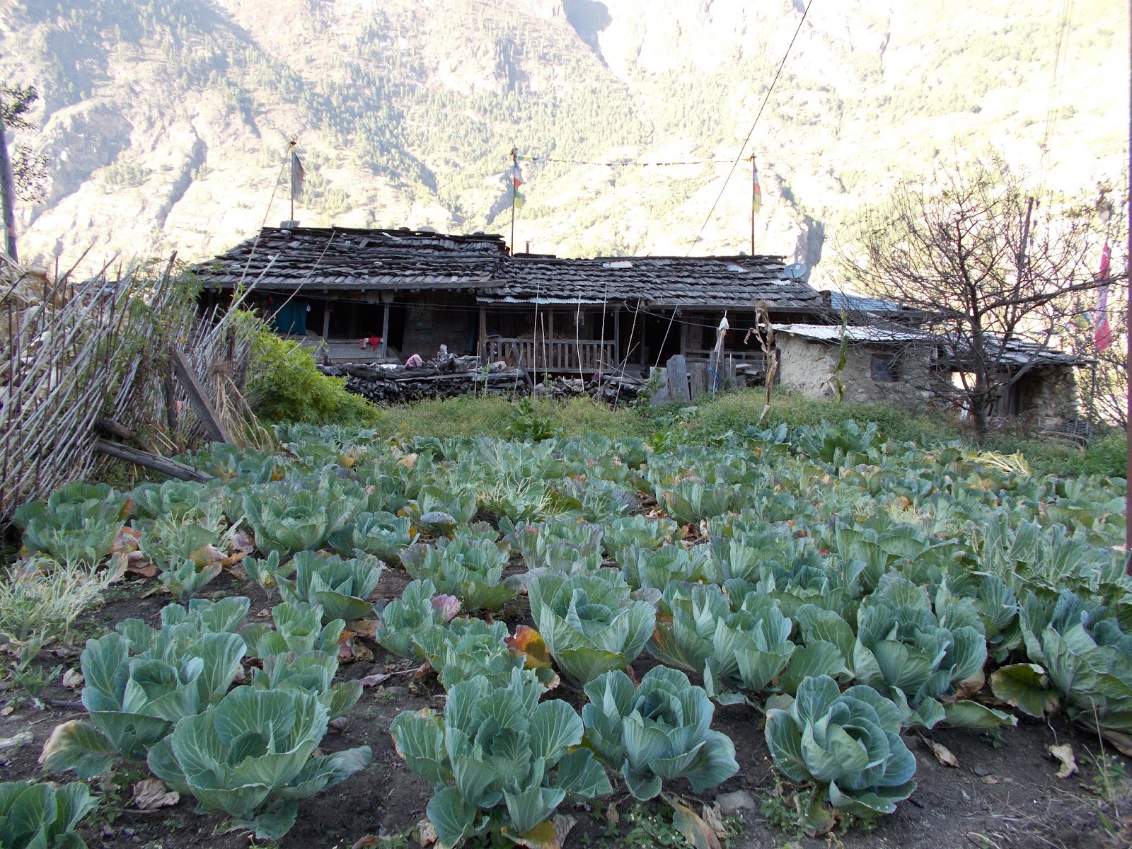 Вокруг Манаслу, долина Цум, Нар-Пу. Непал 2017.