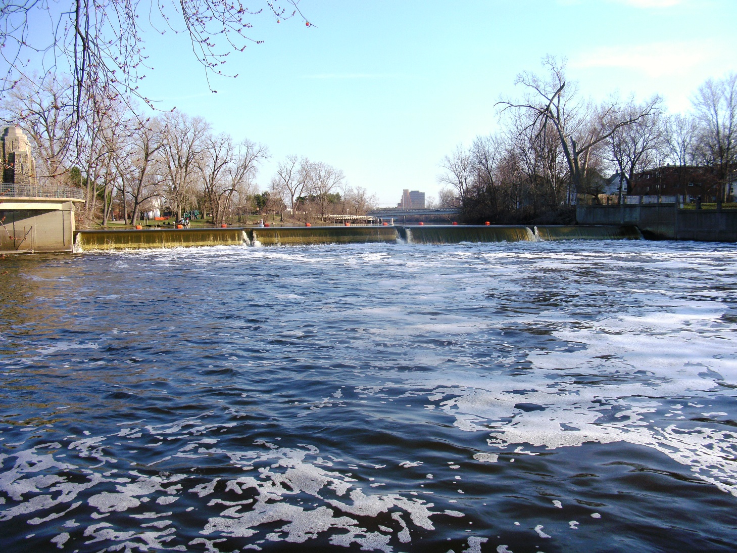 Michigan Steelhead Report Grand River Old Town