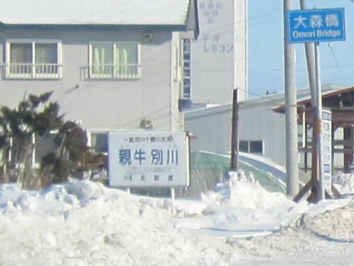冬の北海道の旅 28 勇み足に注意 Bojan International