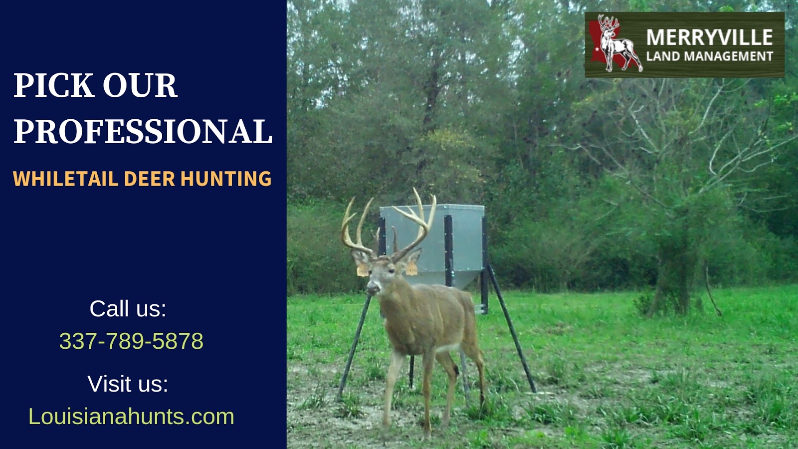 Pick Our Professional Whitetail Deer Hunting