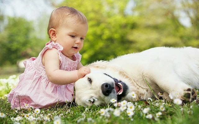 Baby and animals  2