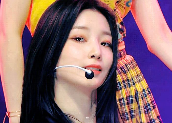 컨셉이 세계정복 말티즈 아니냐는 아이돌 | 인스티즈