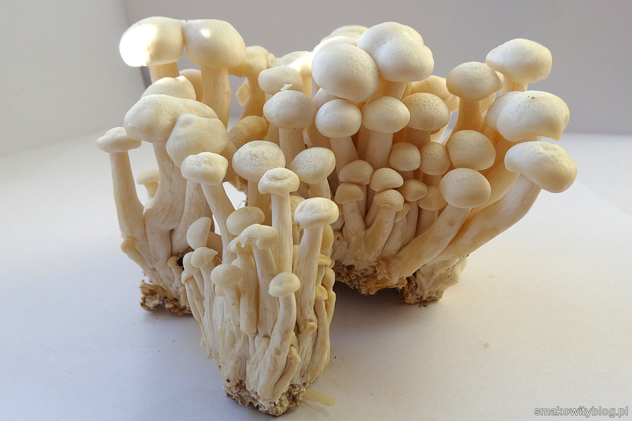Shimeji Smakowity blog