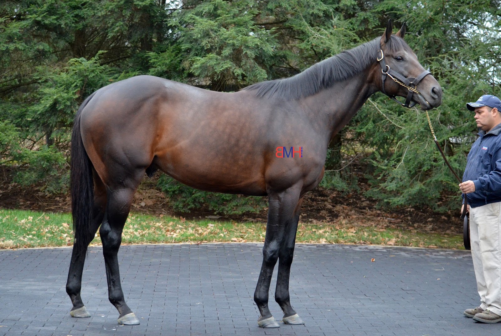 Observations from OBS March