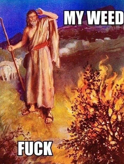 Jesus Memes Photos Jesus Memes Photos