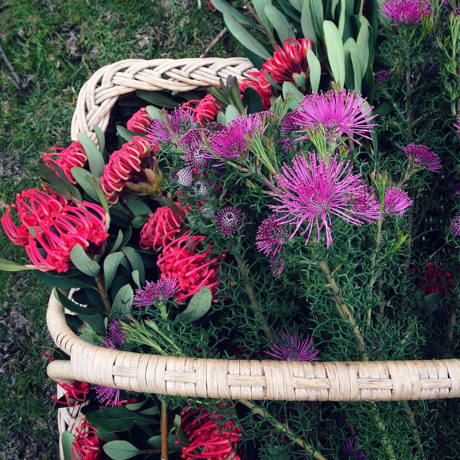 Swallows Nest Farm November Flowers