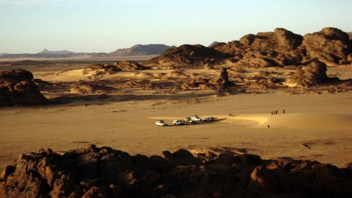 حقول الذهب حقول الذهب