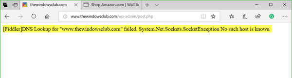 La búsqueda de DNS para el sitio web falló