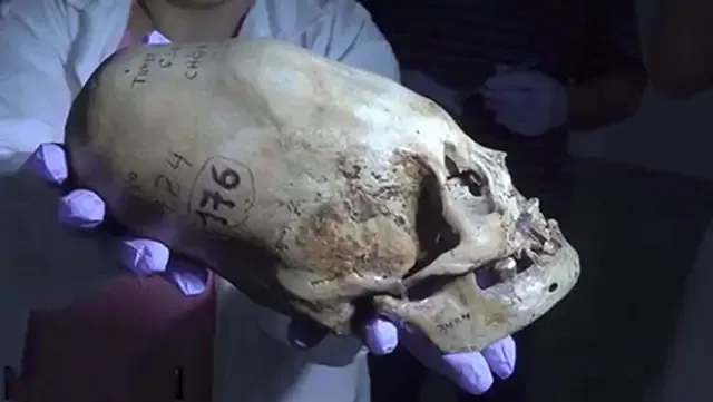Resultados de ADN muestran que los cráneos alargados de Paracas no son nativos de América