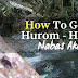 How to get to Hurom Hurom Cold Spring in Nabas Aklan.