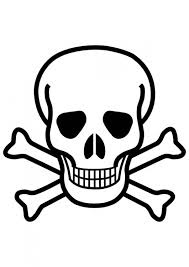 limpiar sin tóxicos