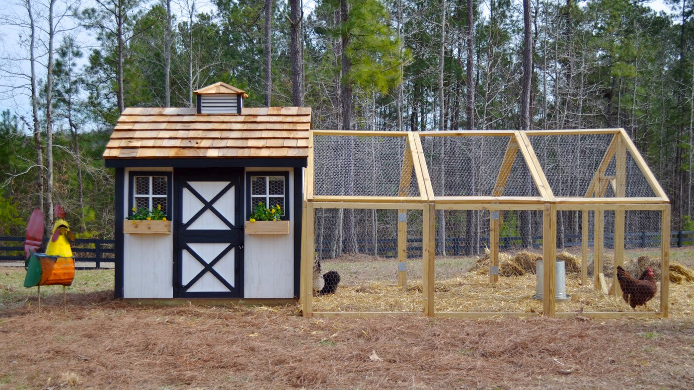 How To Build A Chicken Coop: How To Build A Chicken Coop ...