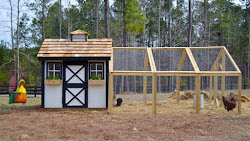 chicken coop build easy access plans chickens steps warmth having