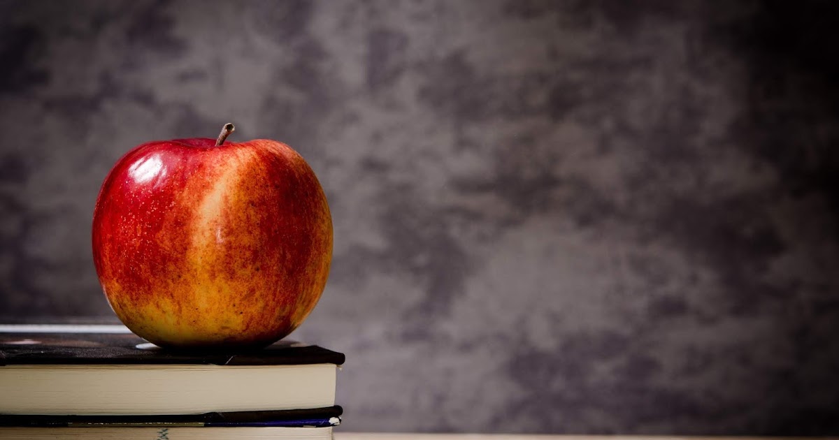 ¿Por qué el Sistema Educativo Está Mal?