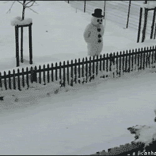 Η τρομερή φάρσα του χιονάνθρωπου