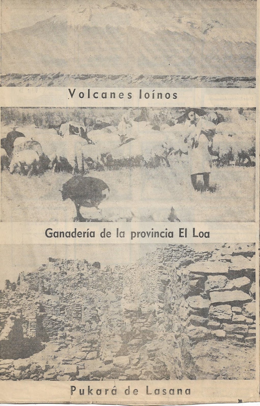 Provincia El Loa Futura Región mayo 2020