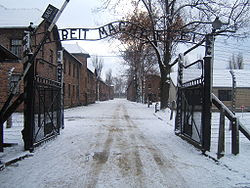 27/01/2013 Auschwitz-Per non dimenticare l'Olocausto