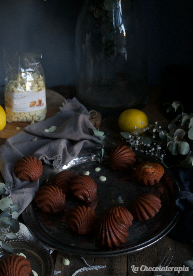 madeleines-de-limon-y-miel-con-chispas-de-chocolate-blanco